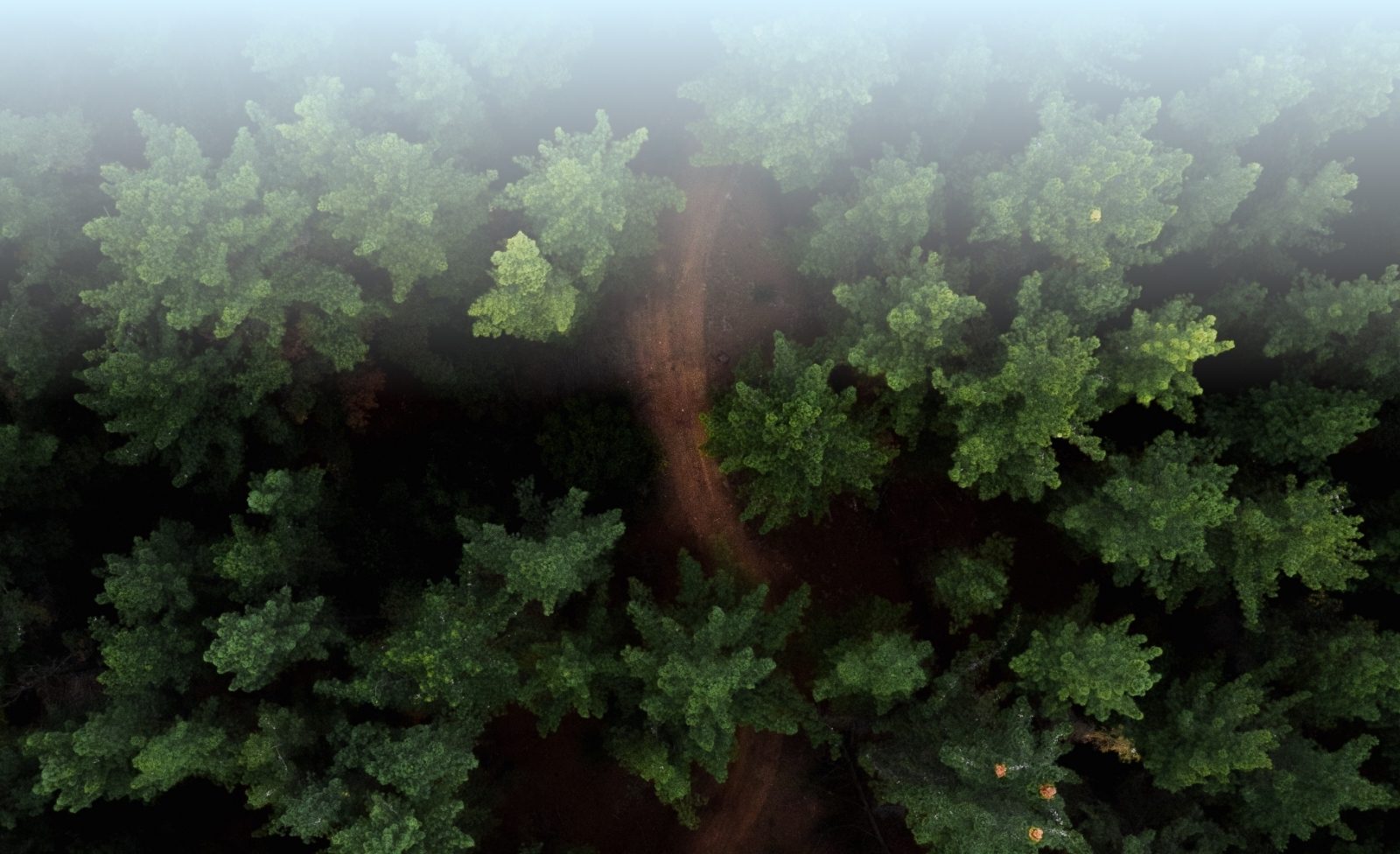 pexels markus spiske 2990647