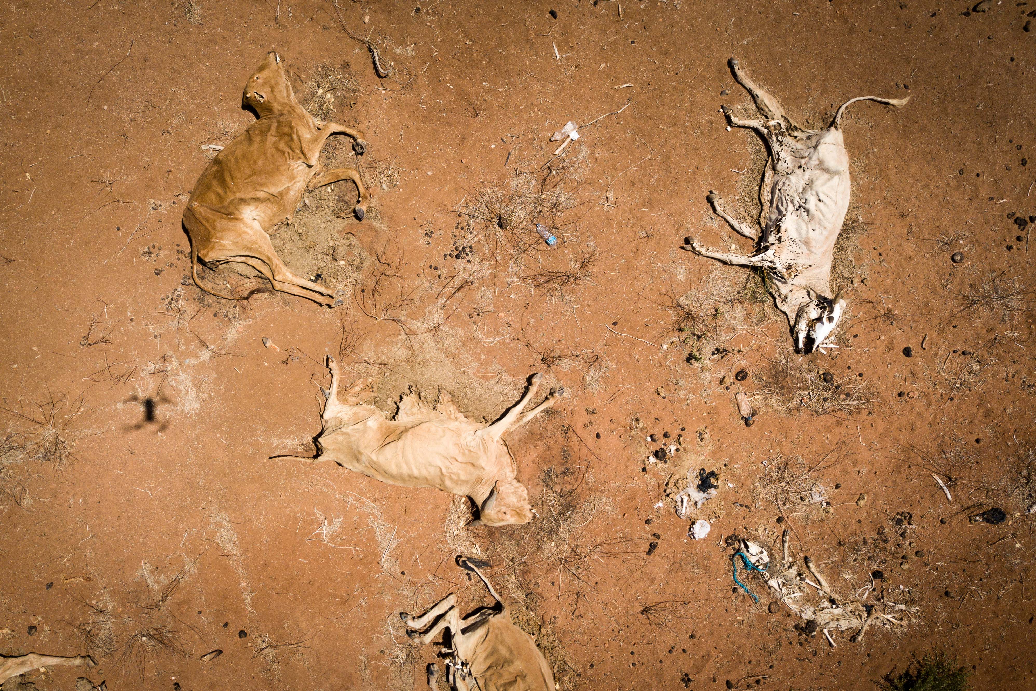 Climate Adaptation in Eastern Kenya